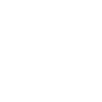 Flex Income Plan icon
