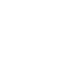 Group Risk icon